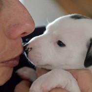 girl 1 kiss