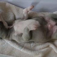 und immer dieser Stress beim Wiegen