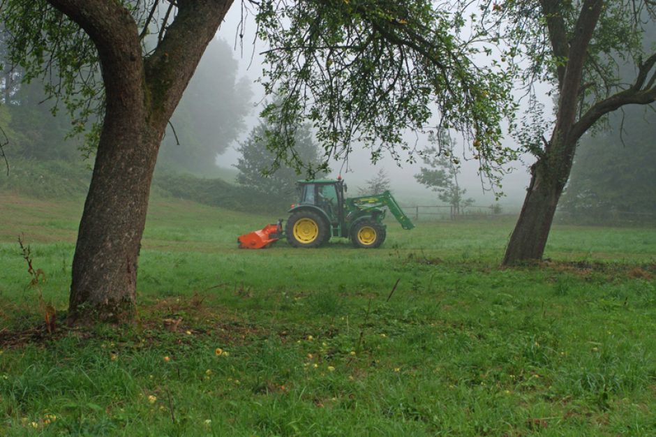 Welpenspielplatz – Die Wiese ist fertig!