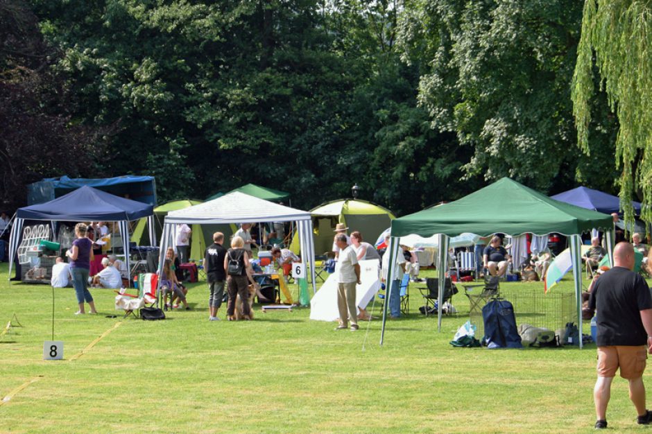 Die letzte Etappe der German-Whippet-Trophy steht fest!!