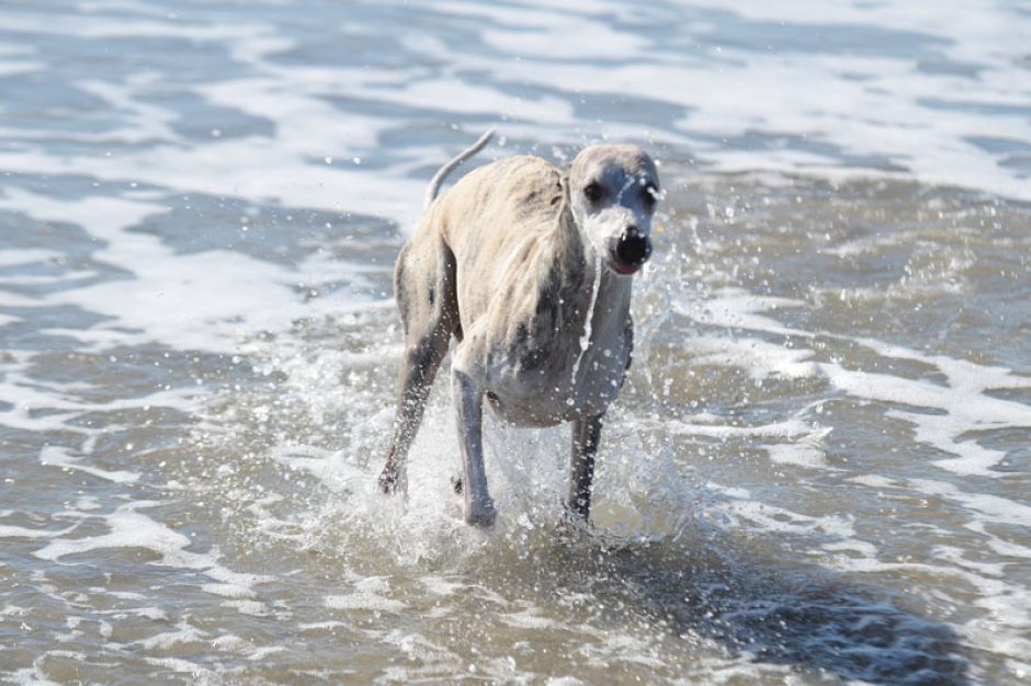 Strandspaziergang…