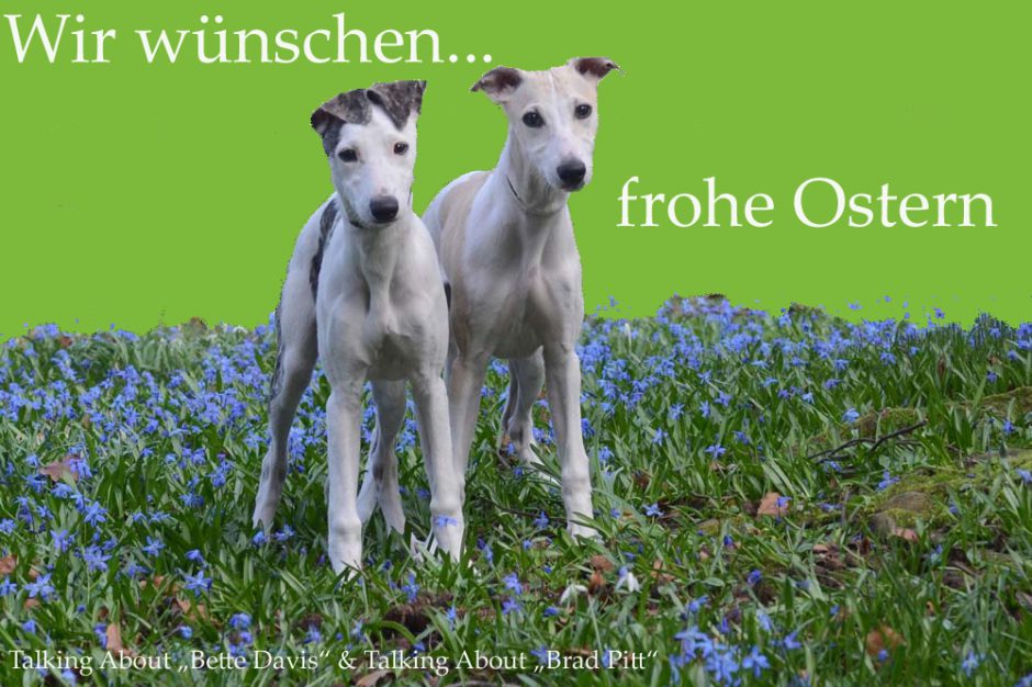 Frohe Ostern…