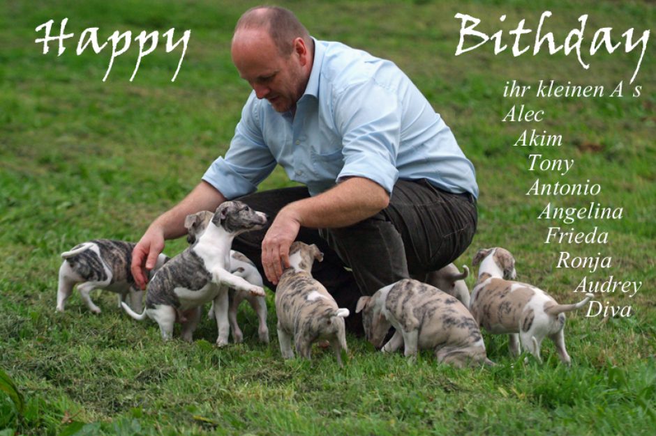 Wie die Zeit vergeht, unser A-Wurf feiert Geburtstag …