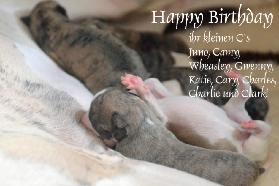 1. Geburtstag …