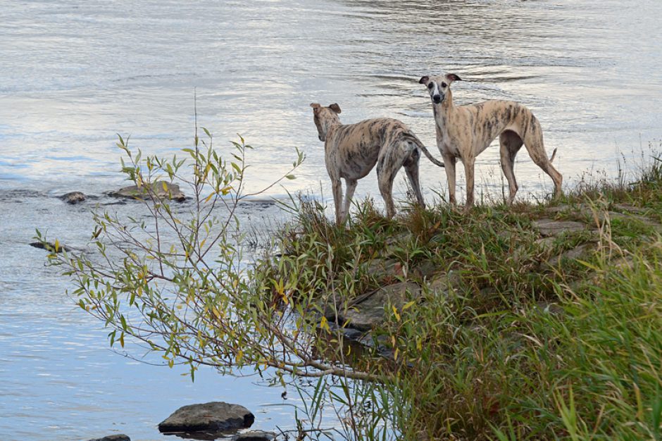 An der Weser…